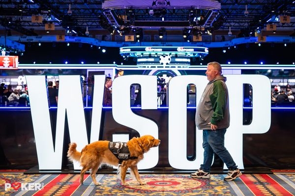 5 of the best stories from the 2026 WSOP